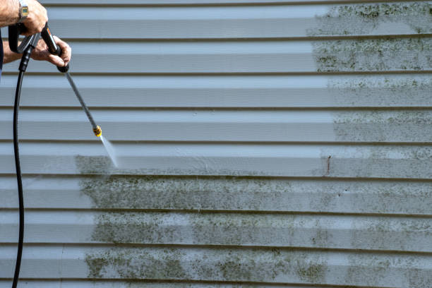 Affordable siding repair and maintenance services in Kenai, AK