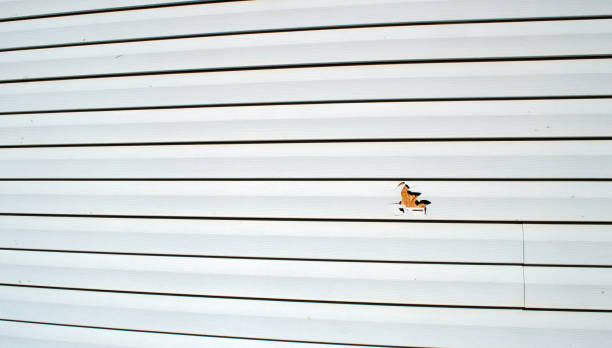 Best Residential Vinyl Siding Installation  in Kenai, AK